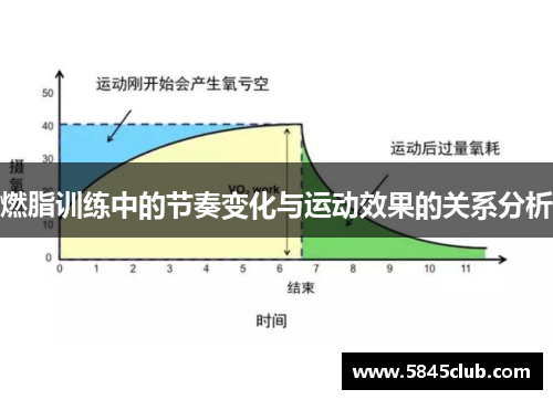 燃脂训练中的节奏变化与运动效果的关系分析