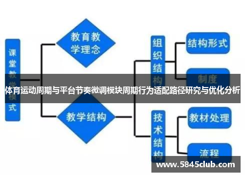 体育运动周期与平台节奏微调模块周期行为适配路径研究与优化分析